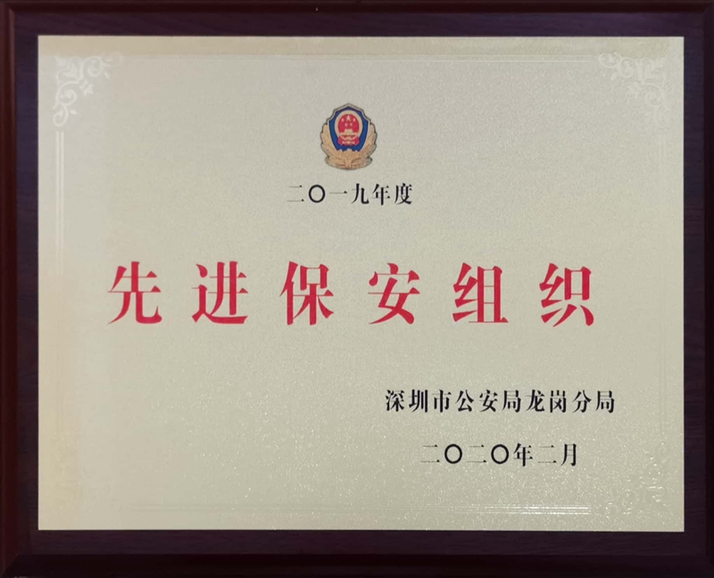2019年度先进保安组织